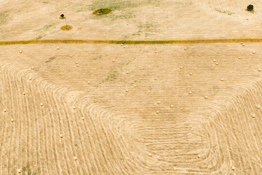 Hay bales lying in a harvested field of drying straw