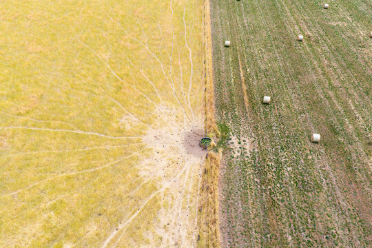 Cattle tracks leading to a water tank in a fencline on dry farmland