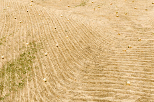 Hay bales lying in a harvested field of drying straw