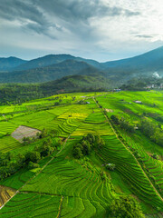 Obraz premium Beautiful morning view in Indonesia, panoramic landscape of rice fields with mountain ranges and clear sky