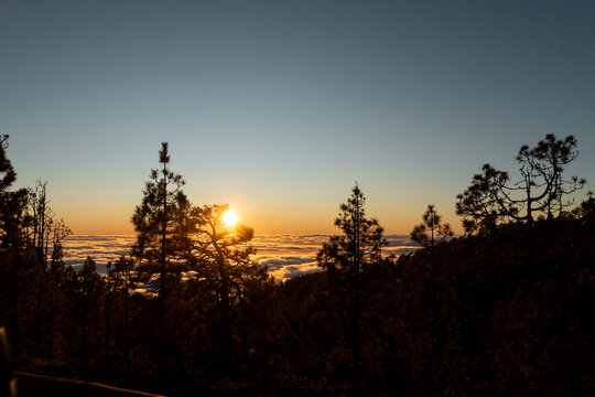 Sunrise sea clouds forest