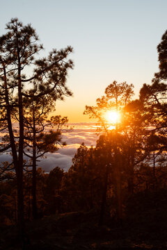 Sunset sea of clouds
