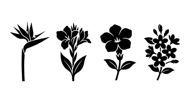 Tropical flower silhouettes, 4 floral vector icons, black botanical plant stencils