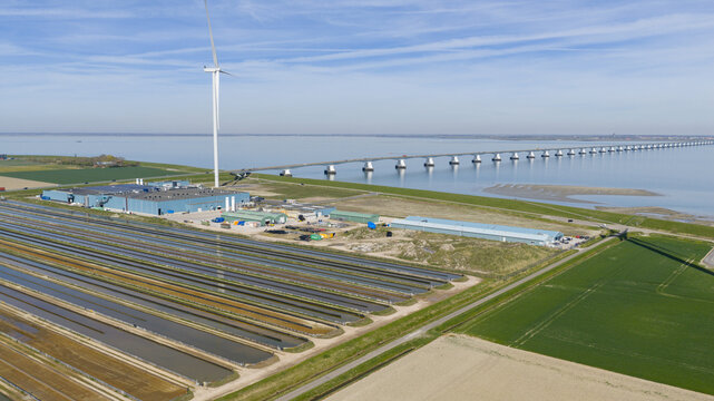 Aerial view of the Zeeland Bridge and an industrial aquaculture facility with rectangular ponds and a wind turbine near the Oosterschelde Zeeland, Netherlands.