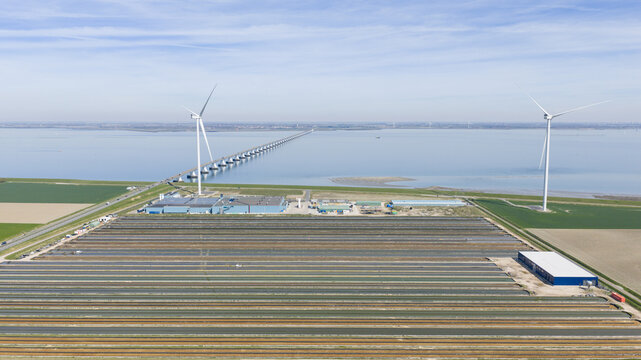 Aerial view of a large industrial aquaculture farm featuring long rows of ponds alongside wind turbines and a massive bridge crossing the calm sea under a bright sky.