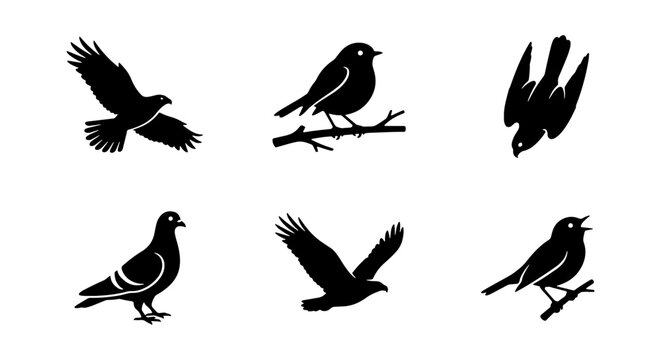 Black bird silhouettes set, flying eagle and pigeon icons, 6 vector avian elements