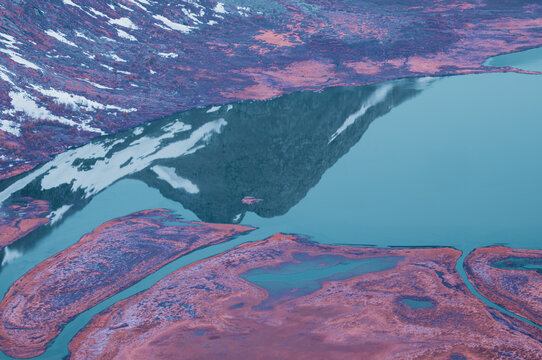 Infrared Colorful Swamp Landscape