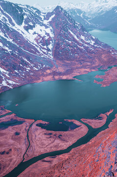 Infrared Colorful Swamp Landscape