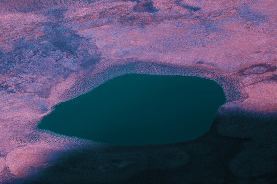 Infrared Colorful Swamp Landscape