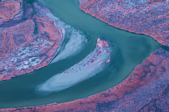 Infrared Colorful Swamp Landscape
