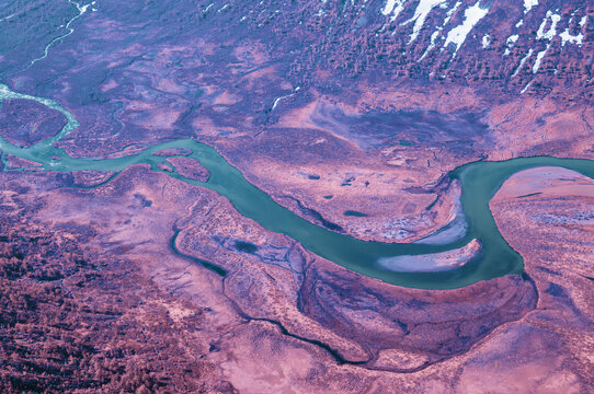 Infrared Colorful Swamp Landscape