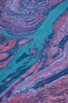 Infrared Colorful Swamp Landscape
