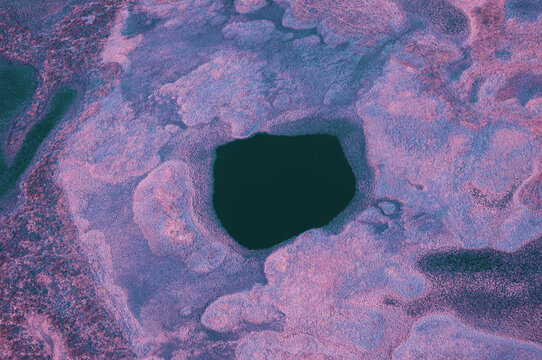 Infrared Colorful Swamp Landscape