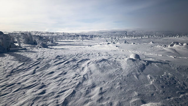 Snow Covers a Wide Landscape With Trees in a Cold Location
