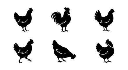 Chicken silhouette vector set, rooster and hen farm animal icons, 6 poultry elements © Tanzila