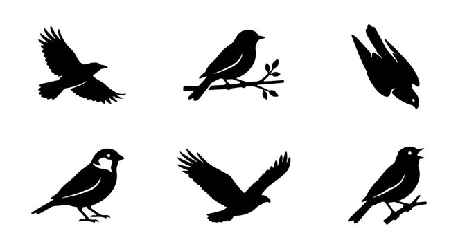 Black bird silhouettes set, 6 flying and perched songbird icons, wild avian vector pack