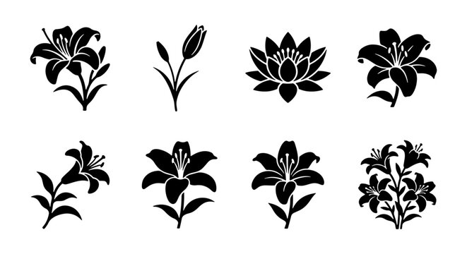 Lily flower silhouette icons, black floral vector set, 8 botanical lily blossom graphics