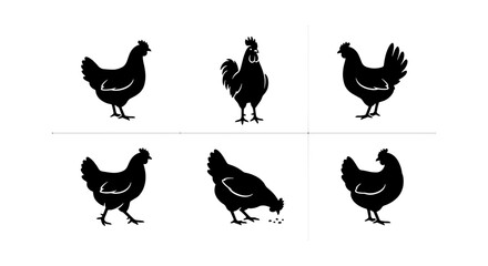 Black chicken silhouettes set, rustic farm poultry vector icons, 6 rooster and hen bird shapes, organic livestock agriculture graphics © Sharmin