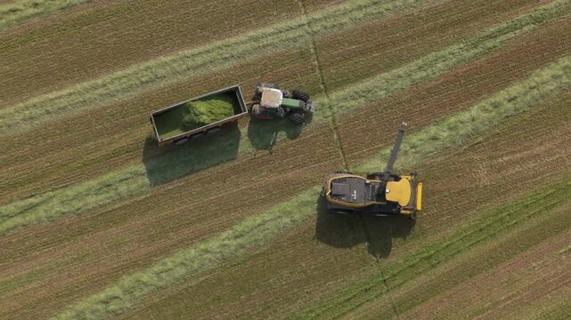 Harvesting in the Field: A tractor and a harvester work together in a field, cutting and collecting crops. The scene from above shows the agricultural process in action.