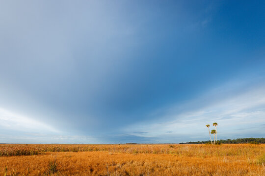 Lake Woodruff National Wildlife Refuge