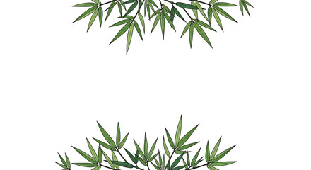 Fototapeta premium Animation style vector bamboo leaves minimalist border Isolated on White background