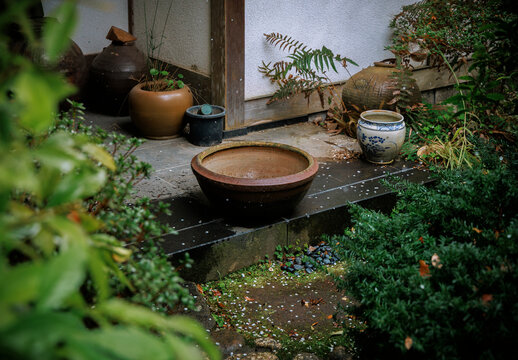 Petals and Porcelain Scattered Across Damp Garden Steps.