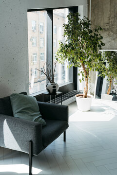 Cozy Corner With a Plant and Mirror in a Bright Urban Apartment