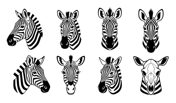 Six unique zebra faces cute icon set black white vector