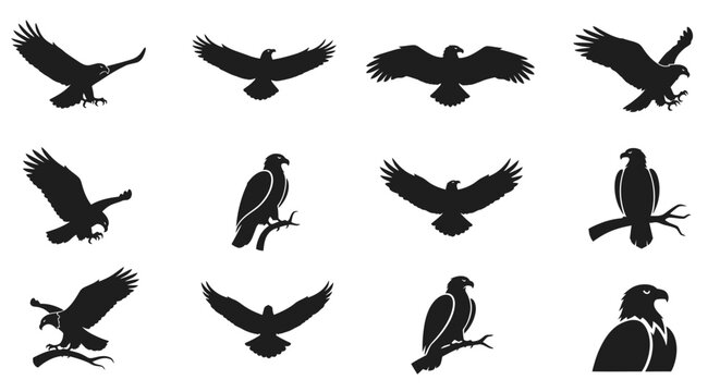 Collection of silhouette illustrations of eagles in various poses and actions, capturing their majestic flight and perching stances