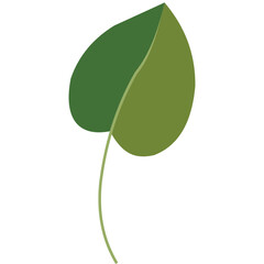 Heart shaped green leaf vector illustration © Haris