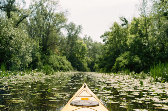 Kayak Among Water Lilies on the Desna