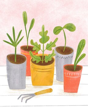 Gardening illustration