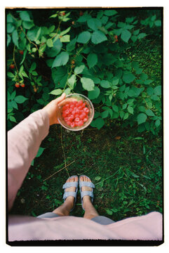 Woman Holding a Bowl of Raspberries in a Garden Setting