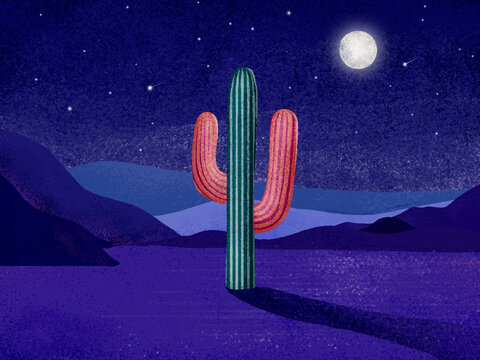 Saguaro cactus silhouette in desert under starry night sky