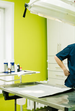 A veterinarian examines a dog in a pet clinic.