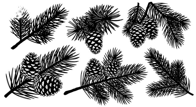 Pine branch doodle set with pinecones and needles, hand-inked botanical sketch style for nature decor and posters