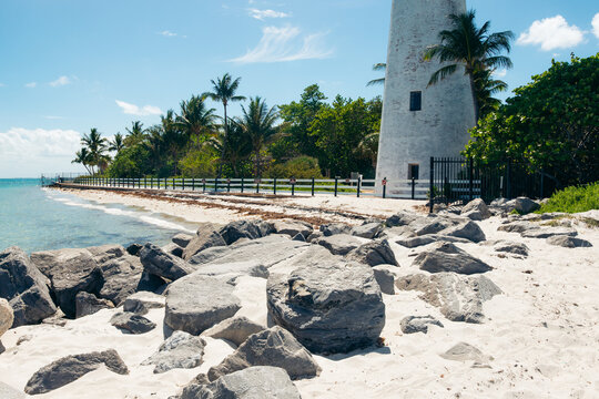 Tropical Beach at Summer in Miami Landscape