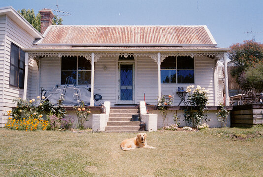 Country Cottage With Garden and Dog Lying on the Lawn