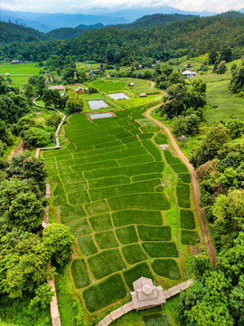Aerial view of Kho Ku So Bamboo Bridge winding through vibrant green rice terraces surrounded by lush forest and misty mountains in Thung Yao, Mae Hong Son, Thailand.