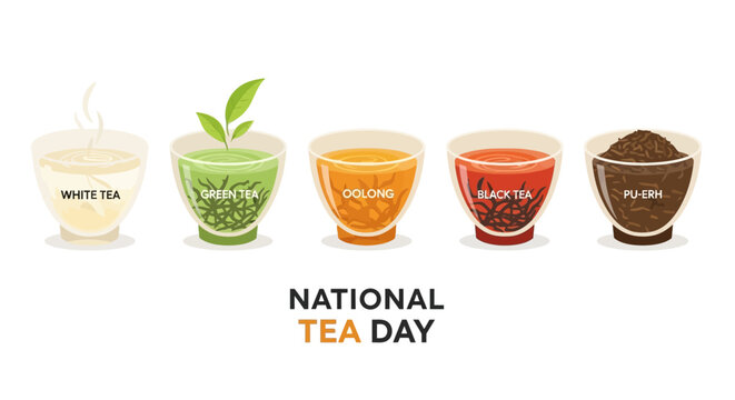 A vector illustration showcases five different types of tea, including white, green, oolong, black, and pu-erh, in transparent glass cups, arranged against a clean white backdrop