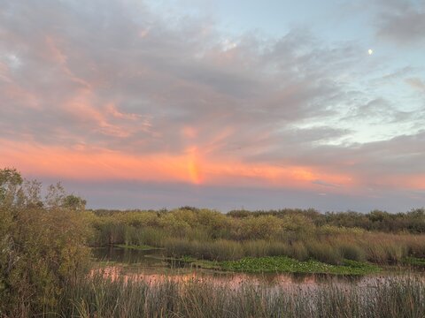 scenic pink rainbow