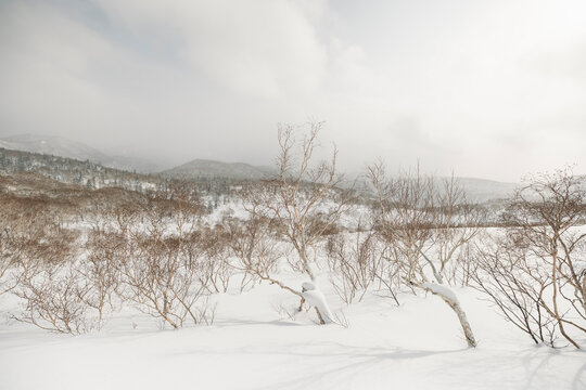 Japan winter landscape