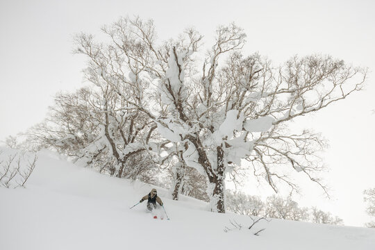 Backcountry skier on deep powder