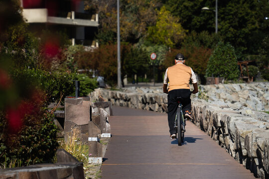 Un hombre mayor paseando en bicicleta por una costanera hecha de madera rodeado de un paisaje de &aacute;rboles y flores.
