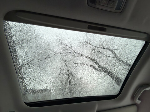 Rain falling on a car sunroof with winter trees