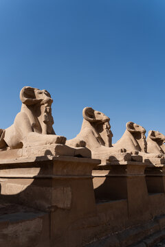 Ram sphynx Karnak Temple, Luxor, Egypt