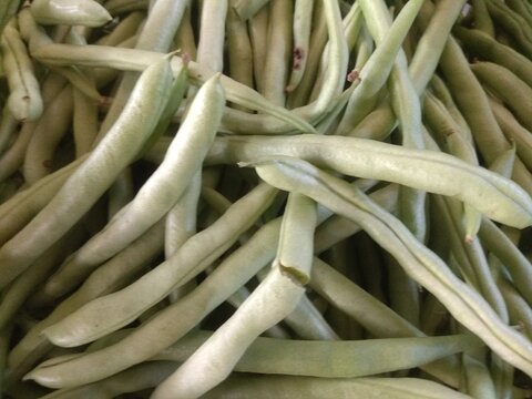 fresh green beans