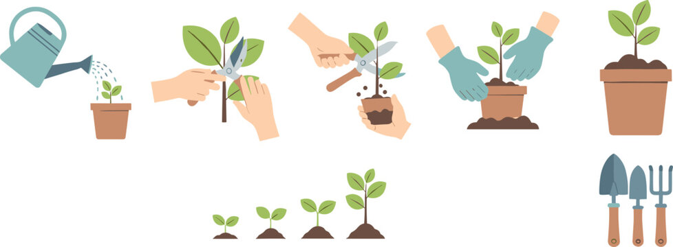 Plant care vector illustrations showing watering, pruning, planting, growth stages, and gardening tools