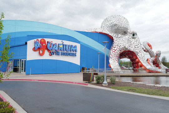 Aquarium at the Boardwalk, Branson, Missouri, family-friendly tourist attraction