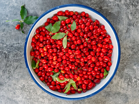 Cornelian Cherries